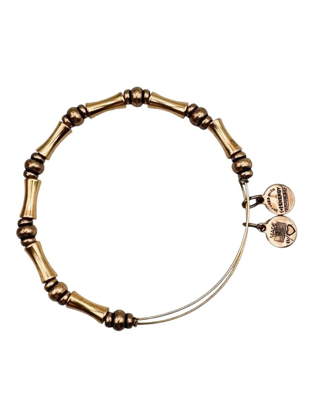 Alex and Ani Energy Bracelet Bamboo Links Rafaelian Gold Tone